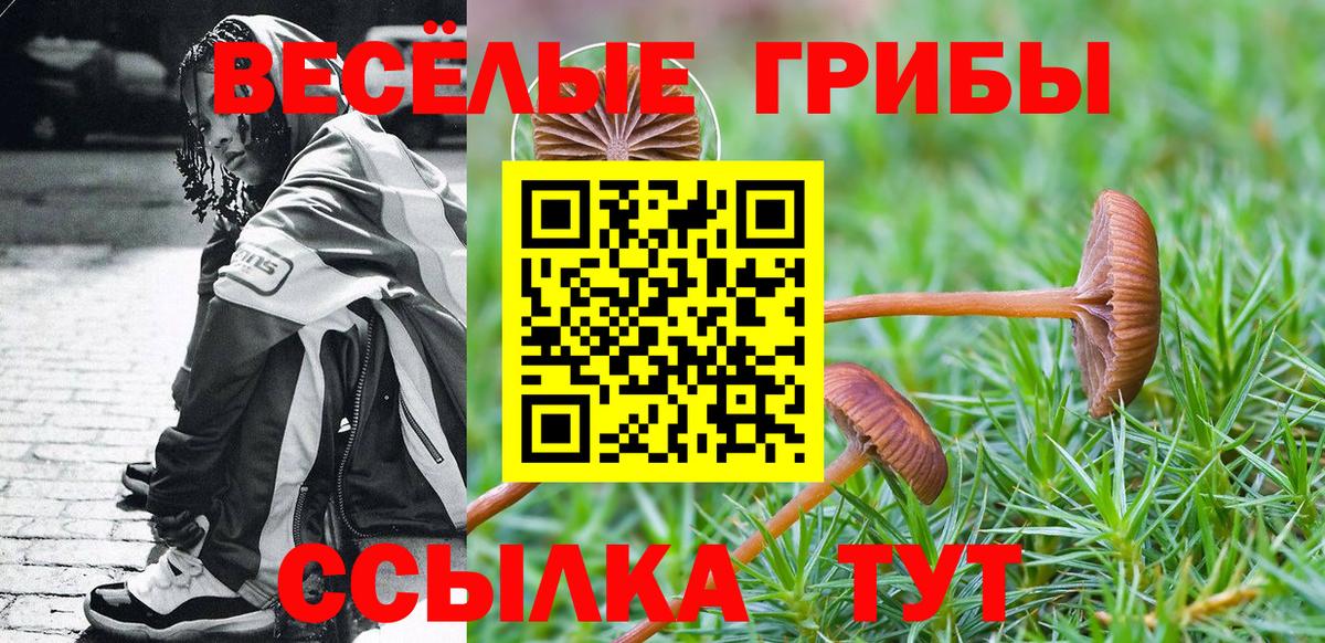Галлюциногенные грибы прущие грибы  Вход с VPN  Новошахтинск 